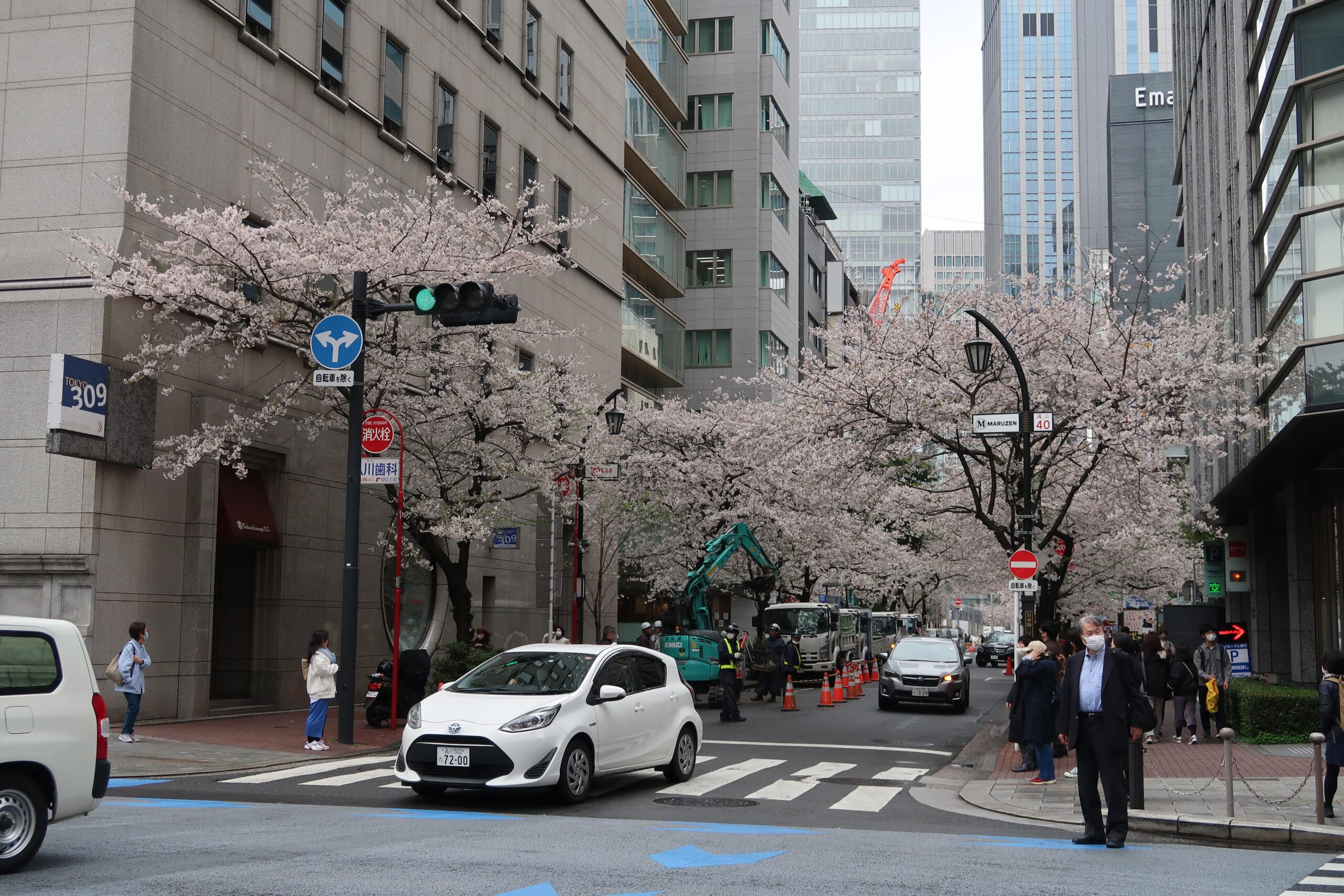 Ginza cherry blossoms tree lined streets where to find cherry blossoms in tokyo photo spots