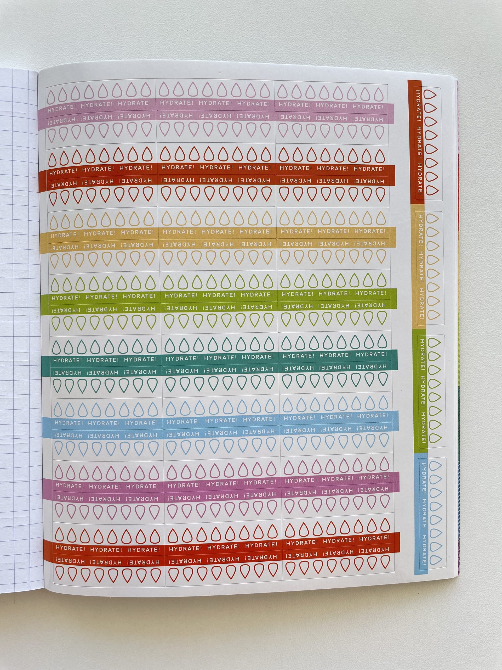 pipsticks planner sticker review hydrate rainbow functional all about planners