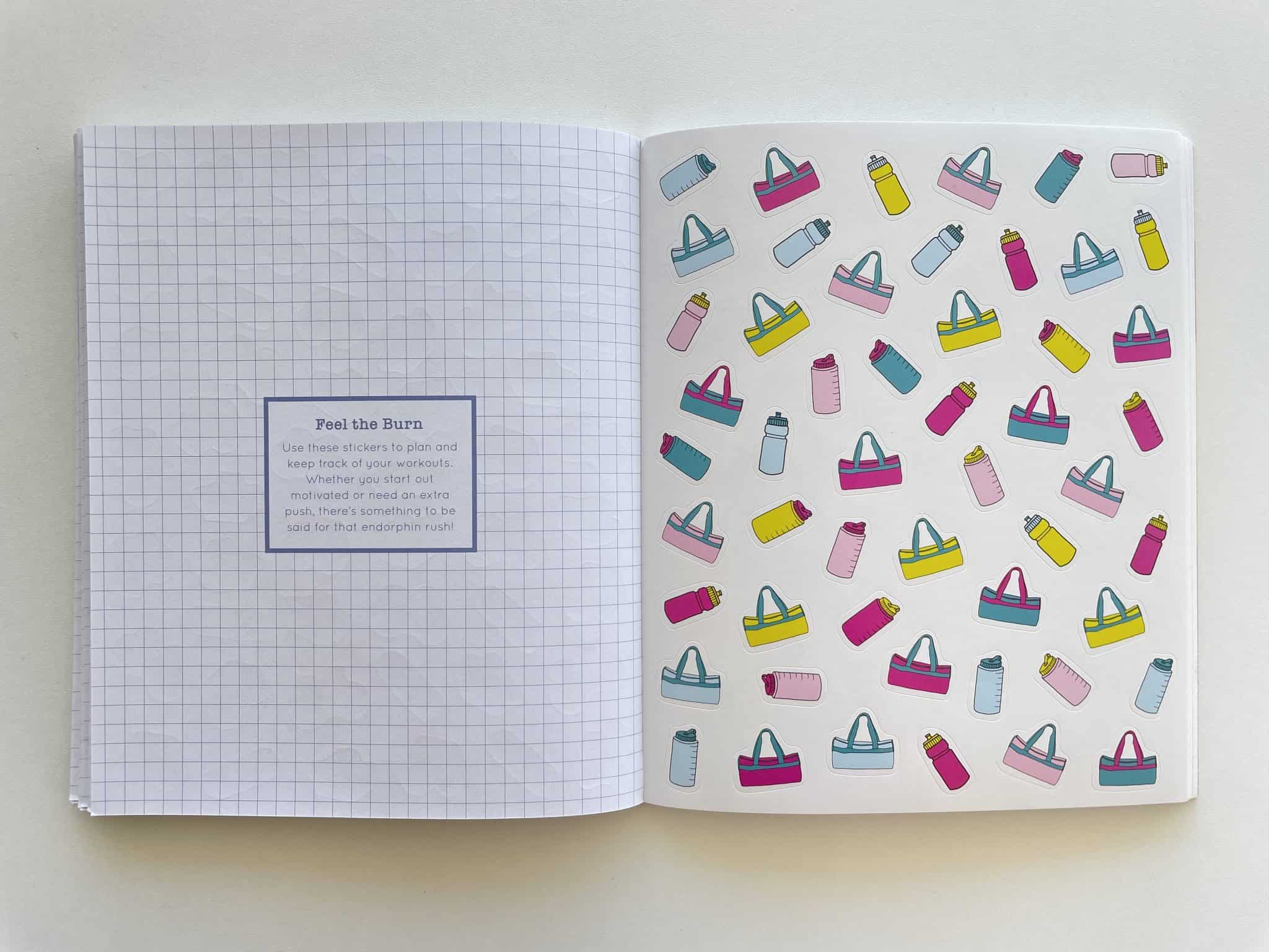 Review of the Pipsticks So. Many. Planner Stickers Book – All About ...