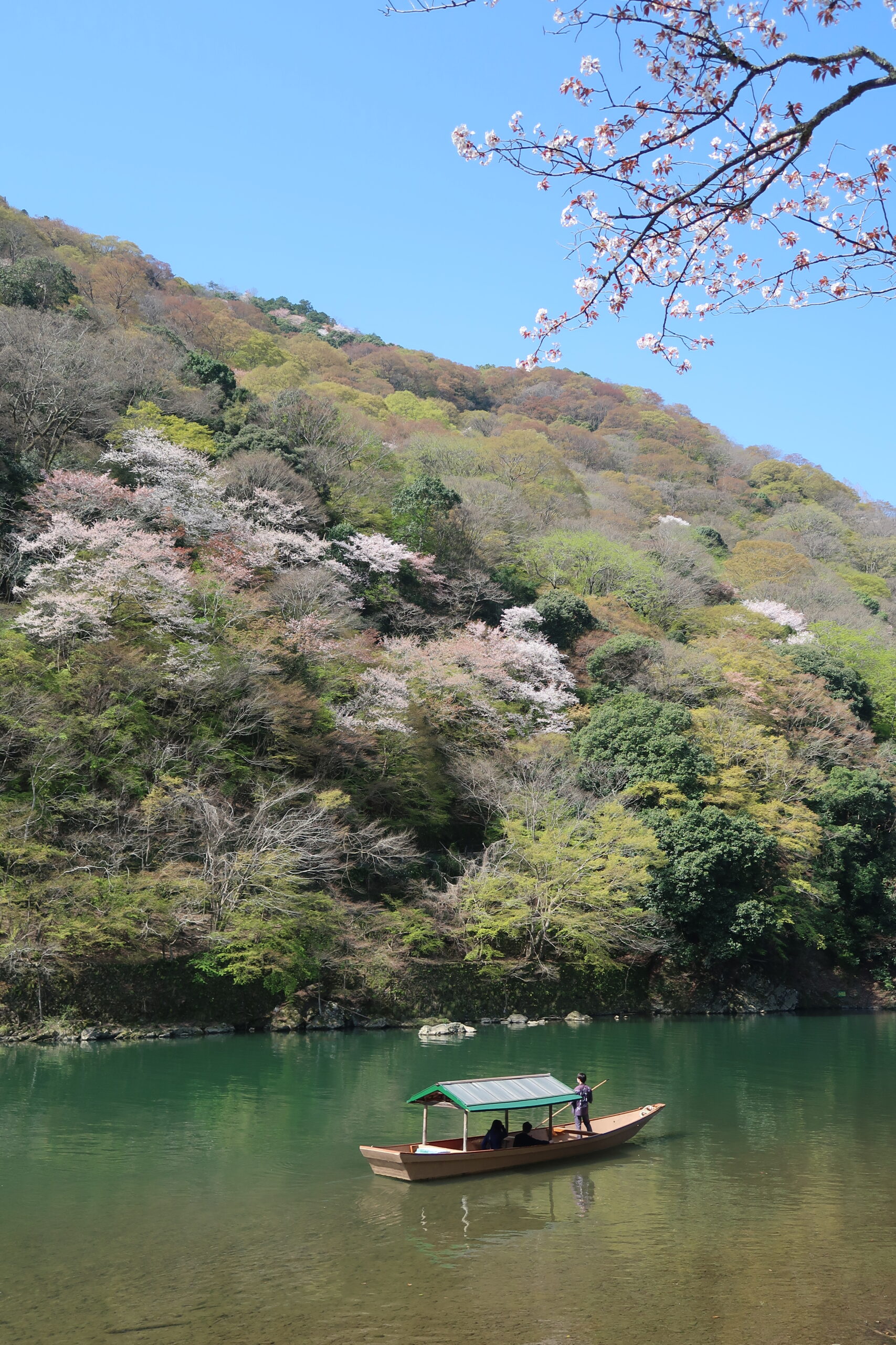 Arashiyama Koen park kyoto cherry blossoms march april first timer japan itinerary