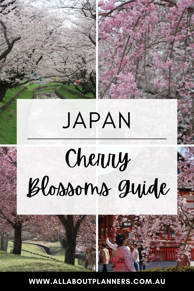 guide to the cherry blossoms in japan what to know before you visit japan during cherry blossom season kyoto osaka tokyo
