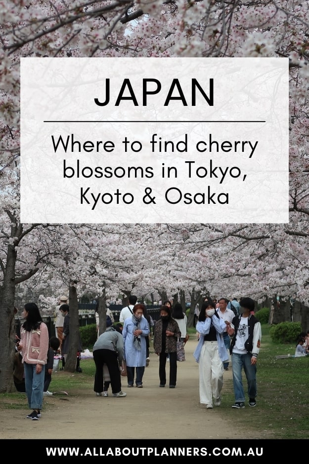 japan cherry blossoms guide where to find the best photo spots tokyo kyoto osaka nara mount fuji kawagoe