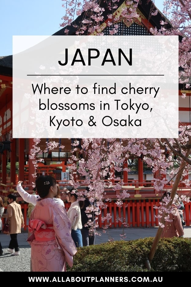 Best places to see cherry blossoms in Japan (Tokyo, Kawagoe and Mount Fuji)