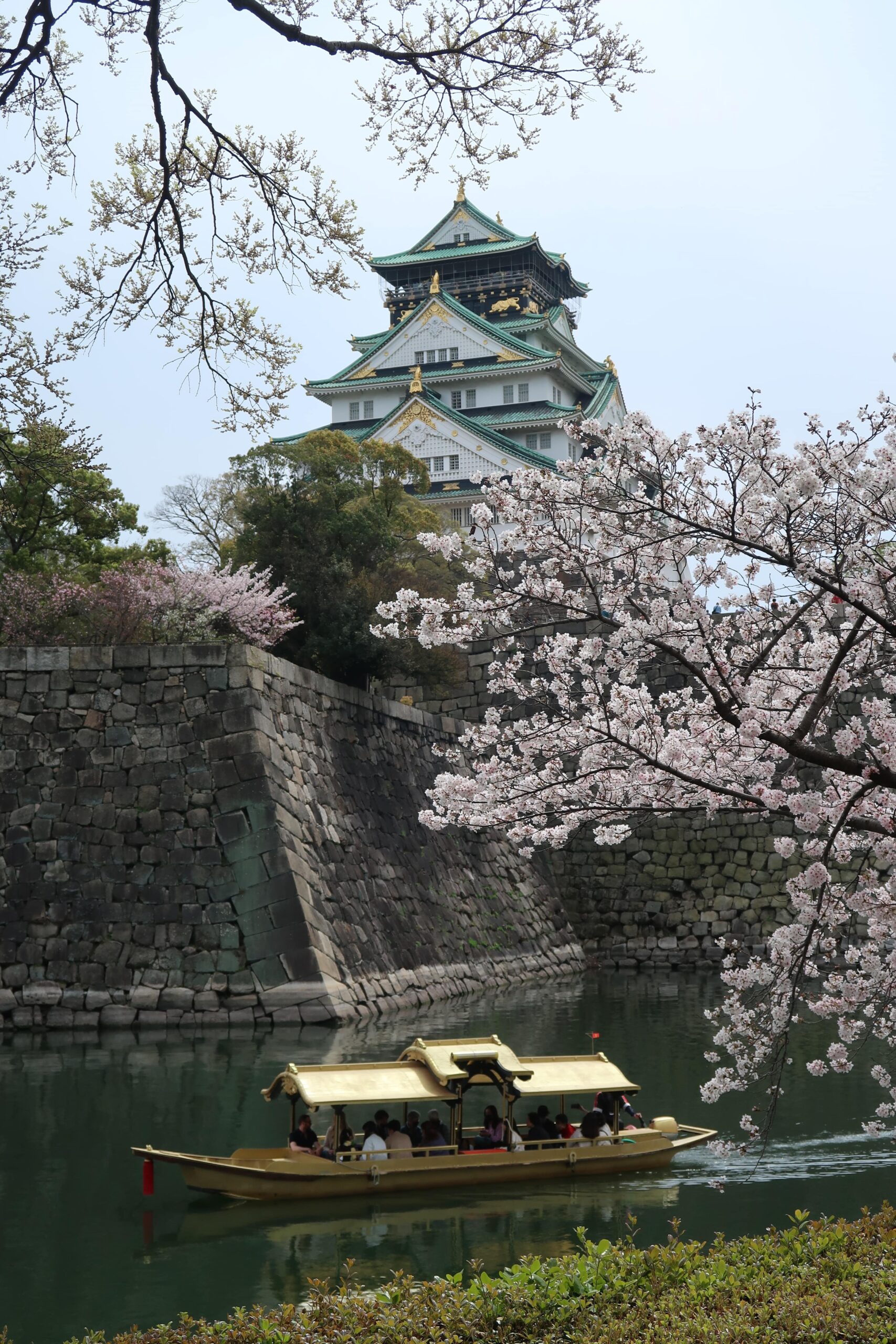 osaka castle cherry blossoms japan best photography locations where to see them spring in japan kyoto tokyo 10 day itinerary