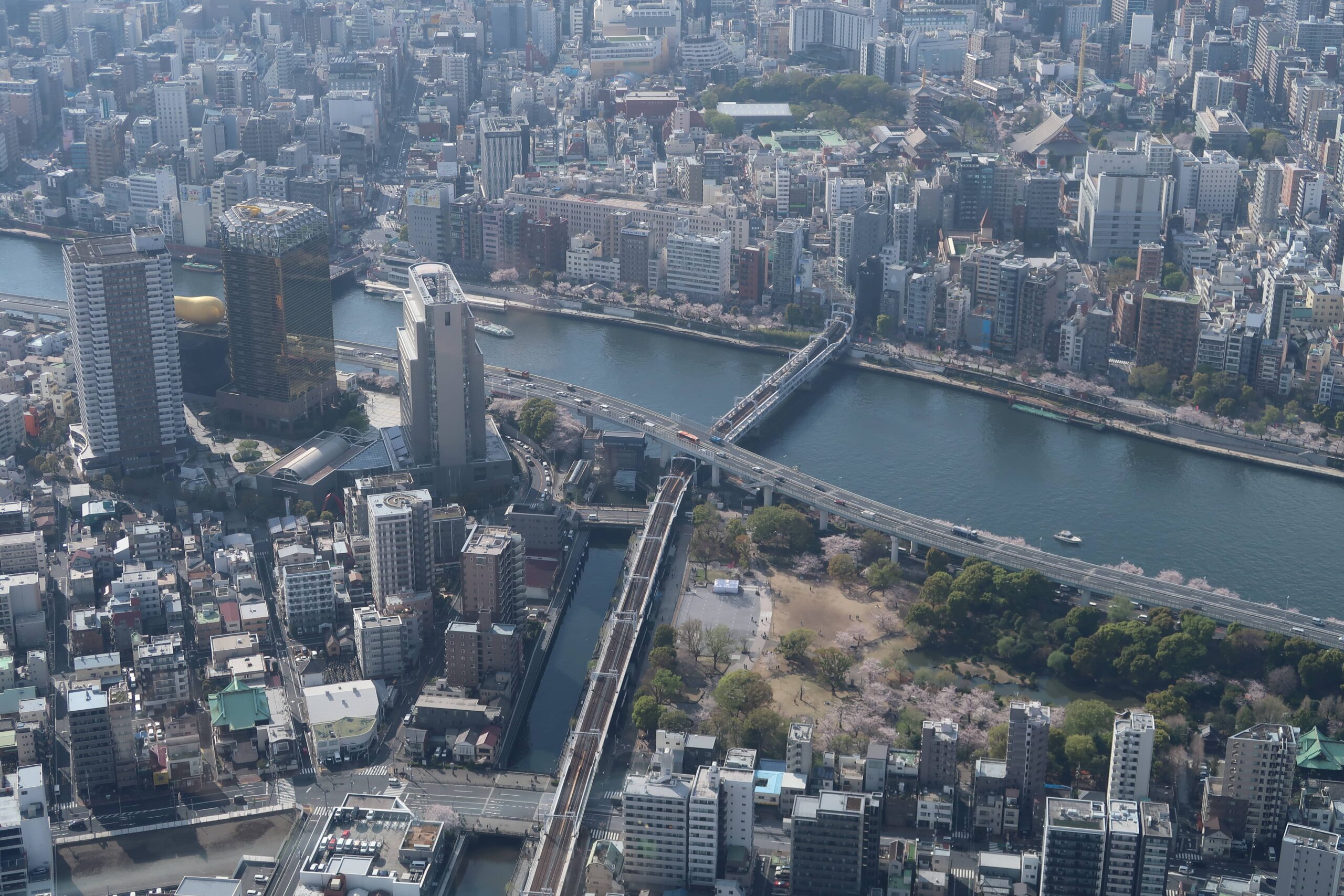 view from tokyo skytree japan best viewpoints cherry blossom viewing locations best things to see and do in tokyo japan