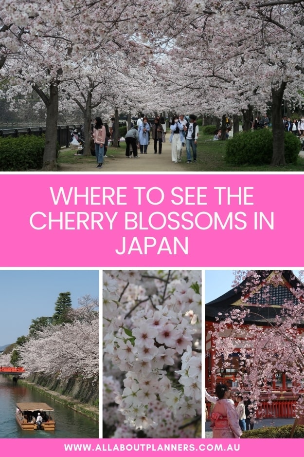 where to find cherry blossoms in japan kyoto tokyo osaka nara how to photograph cherry blossoms detailed itinerary 10 days