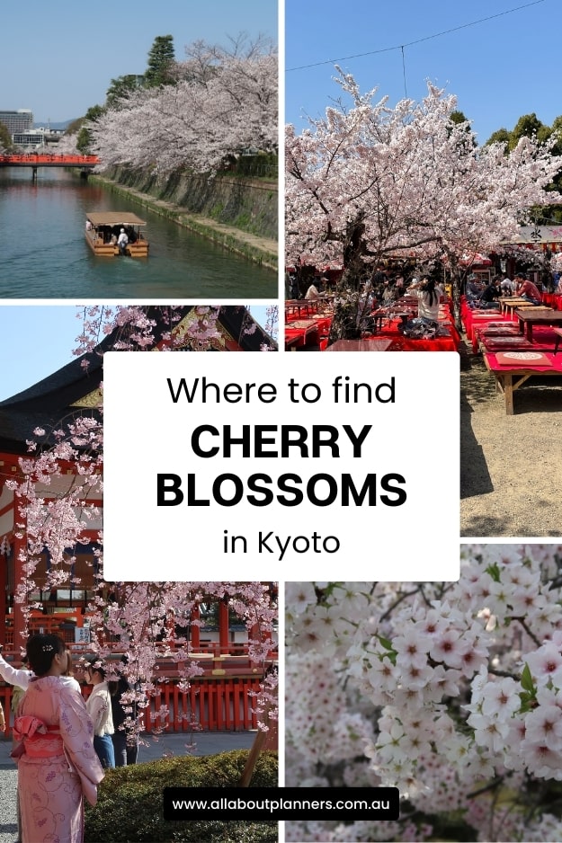 where to find cherry blossoms in kyoto best cherry blossom photo spots locations with map addresses day trips