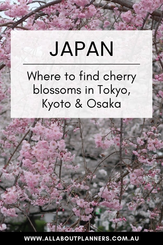 where to find cherry blossoms in tokyo kyoto osaka peak bloom best spots to view the cherry blossoms photo locations