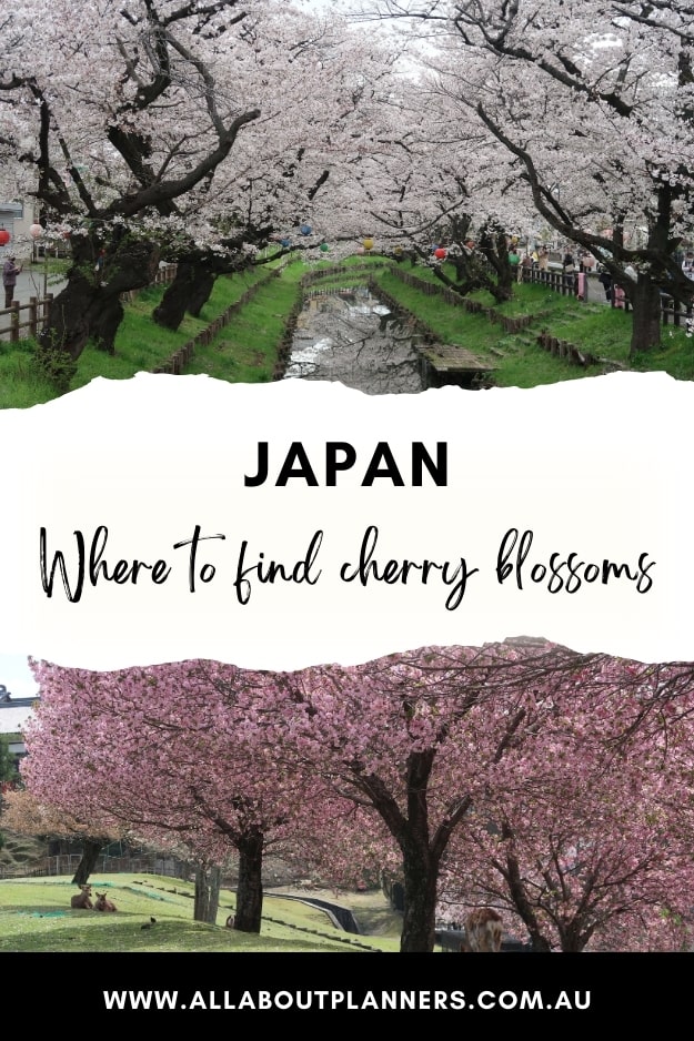 where to see cherry blossoms in japan tokyo kyoto osaka nara best photography locations