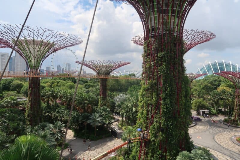 Guide to visiting Gardens by the Bay in Singapore (including the best ...