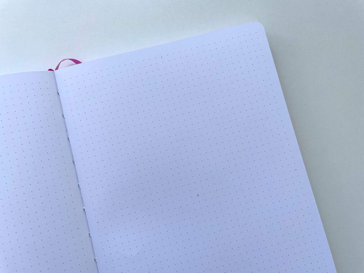 Oops a Daisy dot grid journal review (including pen test on the 160GSM ...