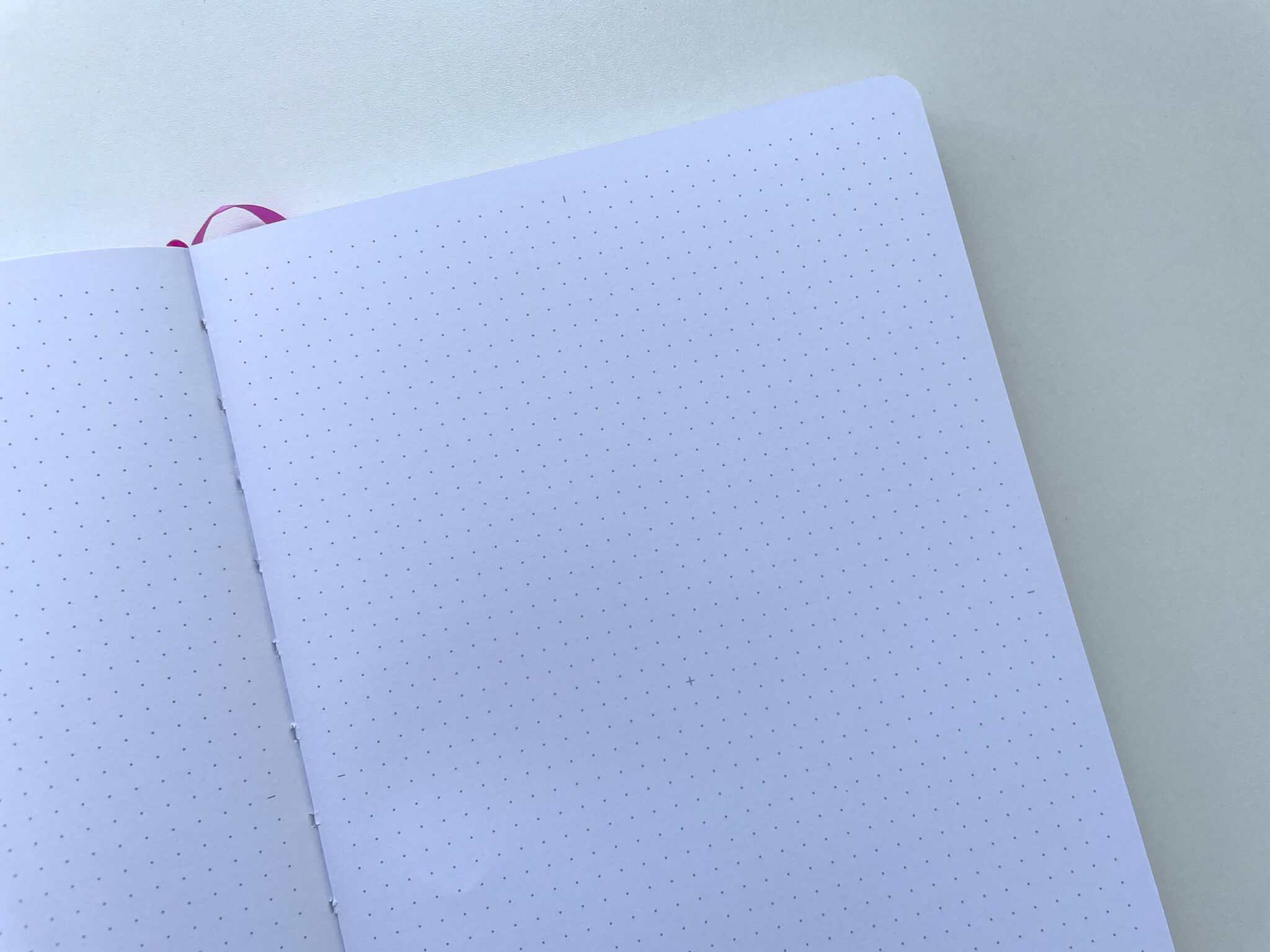 Oops a Daisy dot grid journal review (including pen test on the 160GSM ...