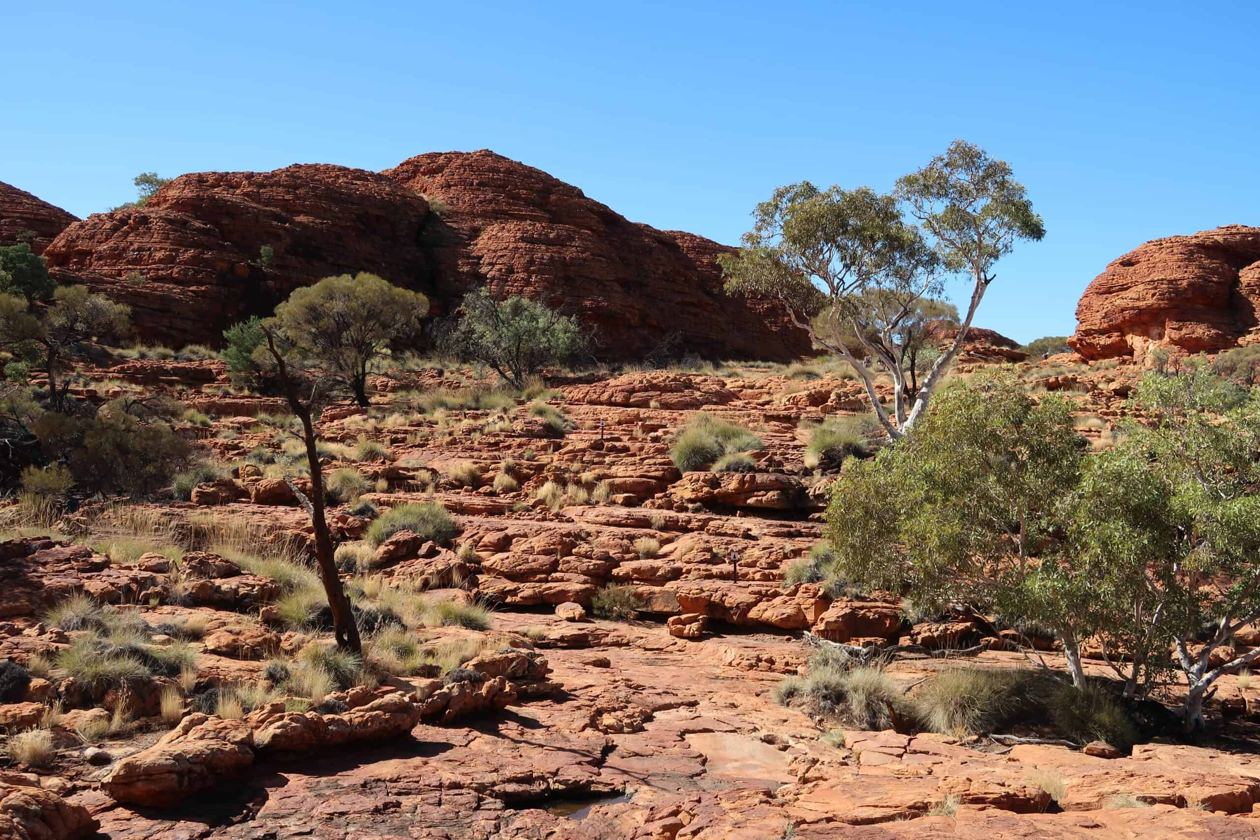 kings canyon northern territory australia self drive via car itinerary from ayers rock yulara june weather is it worth visiting