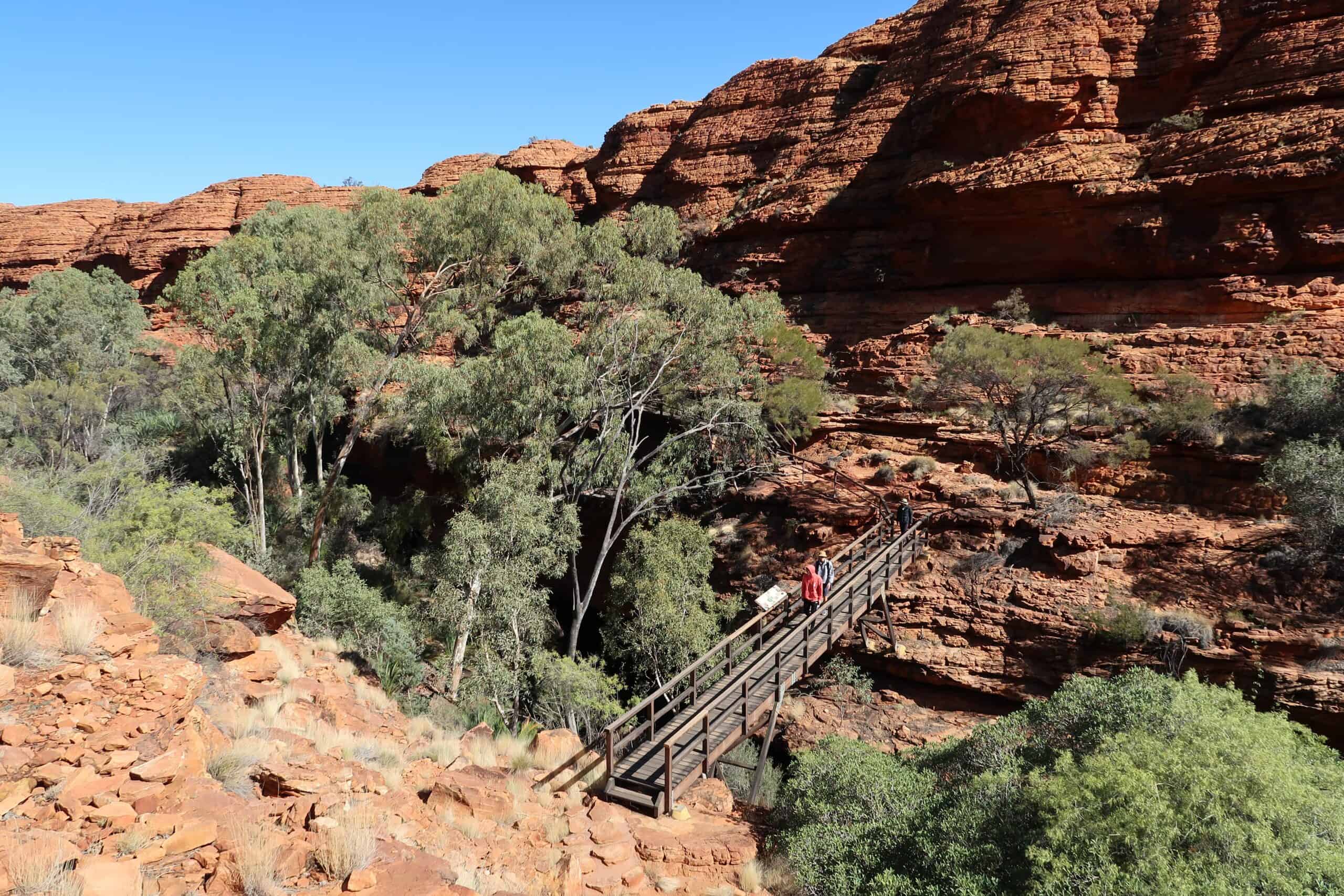 kings canyon rim walk how to get there is the hike challenging how to get there from yulara things to see and do june weather nt