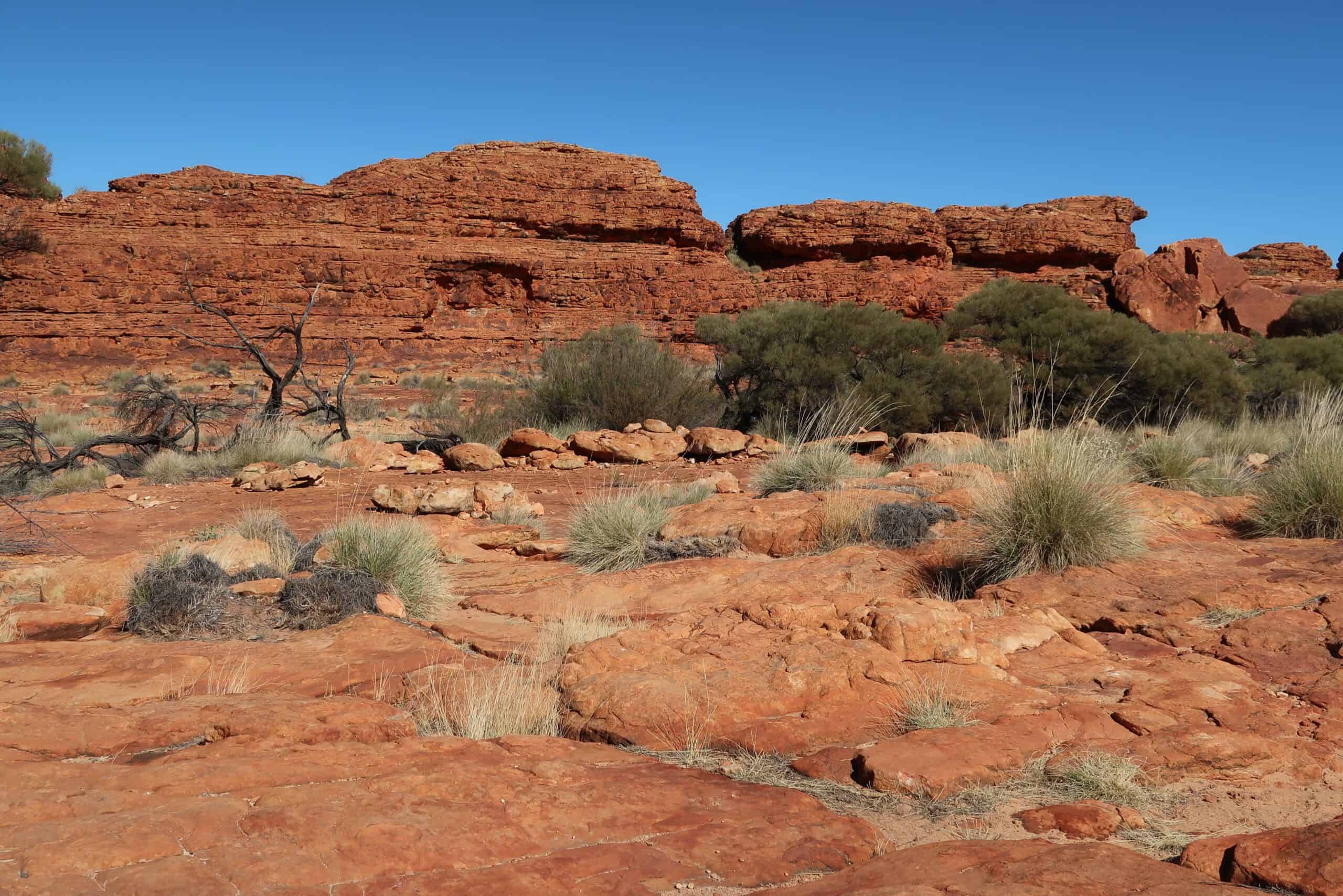 kings canyon rim walk in june weather things to see and do in the red centre of australia self drive itinerary via car best hiking