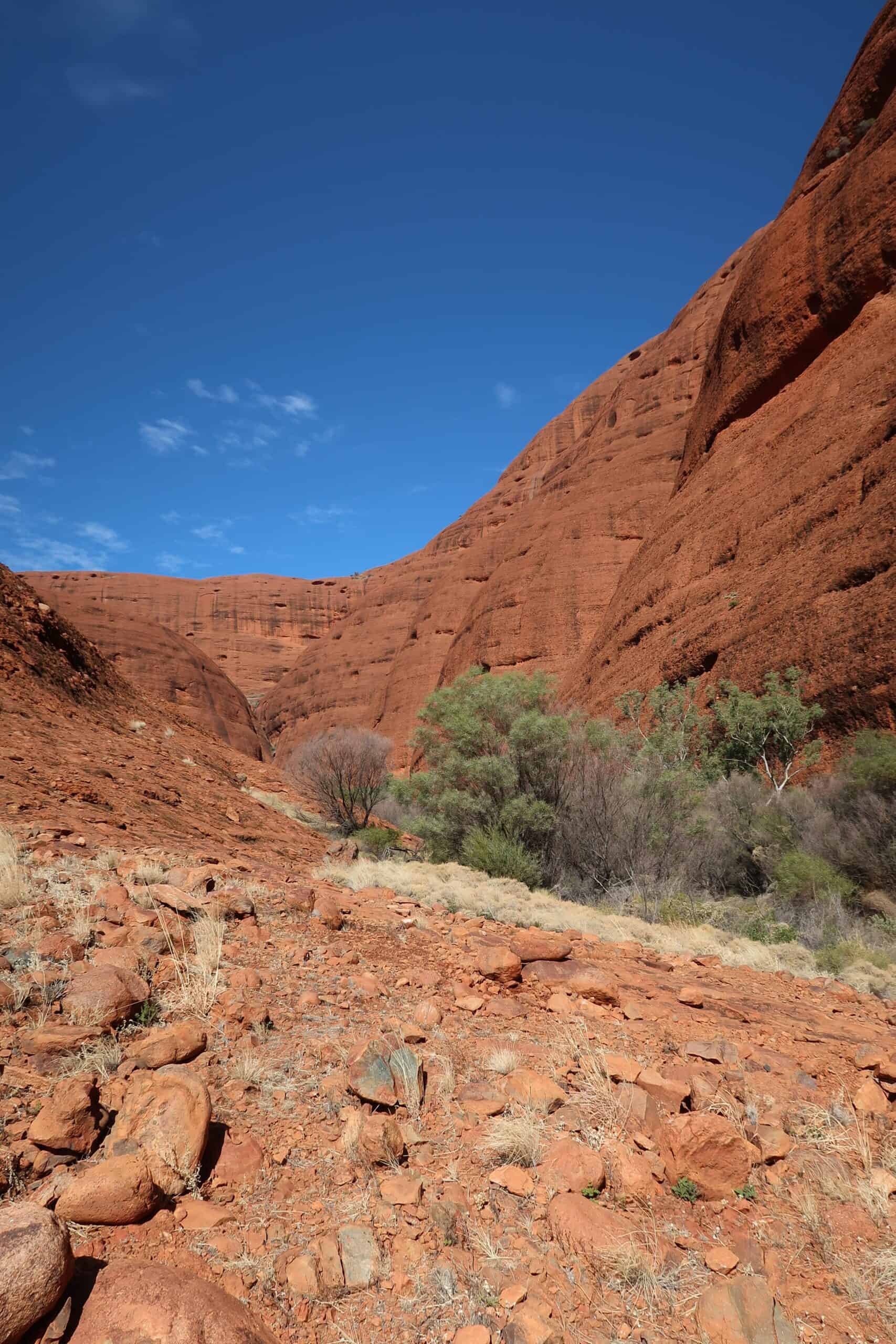 the olgas kata tjuta national park day trip from yulara valley of the winds walk tips things to know difficulty family walking routes