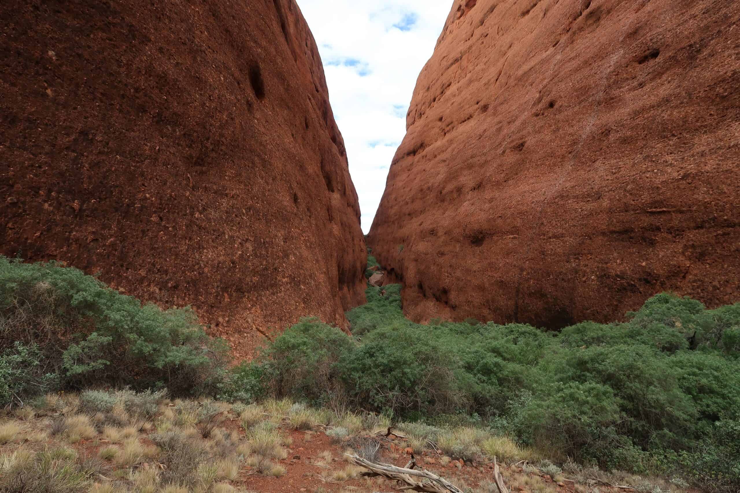 walpa gorge walk the olgas kata tjuta hiking routes family friendly option for young kids is it worth it self drive tips northern territory diy